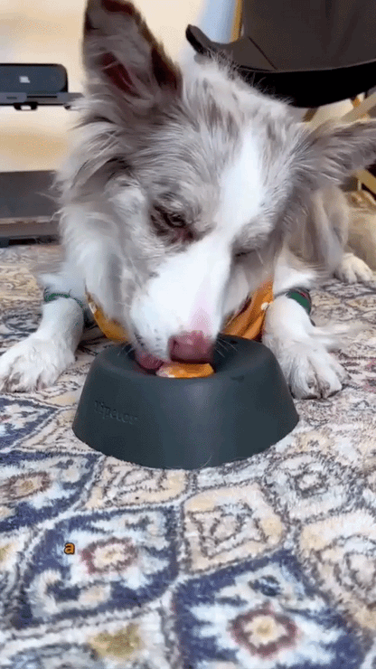 LickDish — Anti-Anxiety Slow Feeder for Dogs
